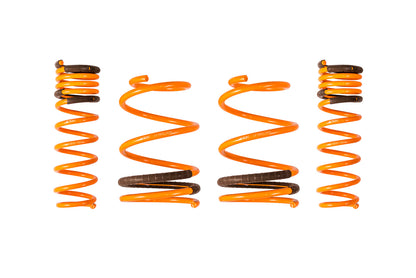 ARK 2008-2016 Mitsubishi EVO X GT-F Lowering Springs (Clearance item)