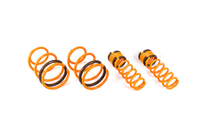 ARK 2008-2016 Mitsubishi EVO X GT-F Lowering Springs (Clearance item)