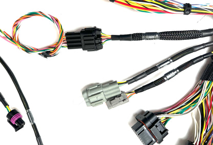 Wiring Specialties K24 PRO Series Harness for Nissan S13 240SX WRS-PROK20K24-LINKHALECU-S13-240SX