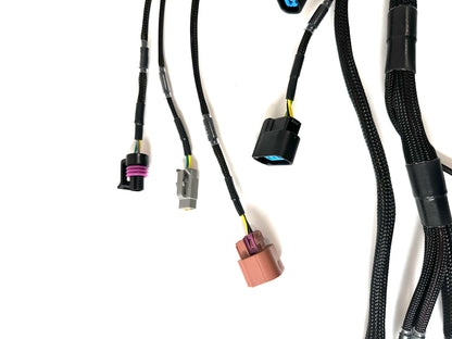 Wiring Specialties K24 PRO Series Harness for Nissan S13 240SX WRS-PROK20K24-LINKHALECU-S13-240SX