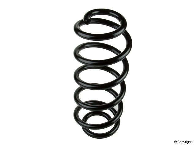 Lesjofors Coil Spring 4004237