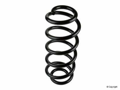 Lesjofors Coil Spring 4004237