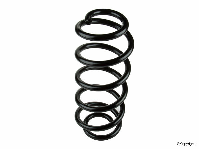 Lesjofors Coil Spring 4004237