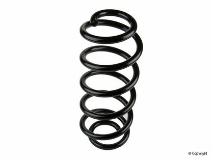 Lesjofors Coil Spring 4004237