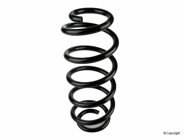 Lesjofors Coil Spring 4004255