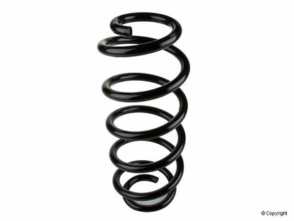 Lesjofors Coil Spring 4004255