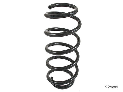 Lesjofors Coil Spring