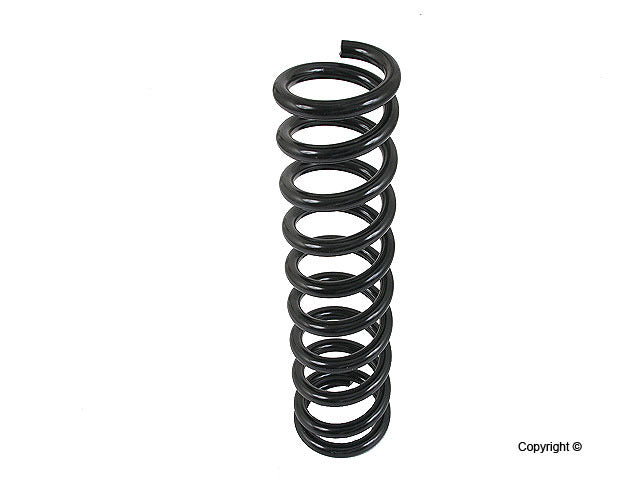 Lesjofors Coil Spring