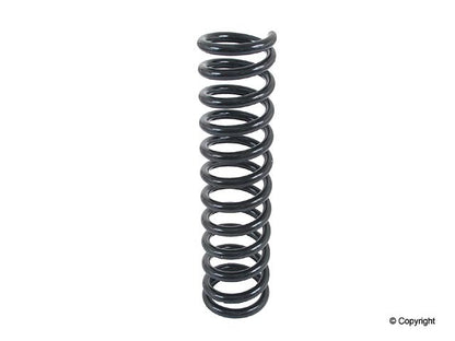 Lesjofors Coil Spring 4056803