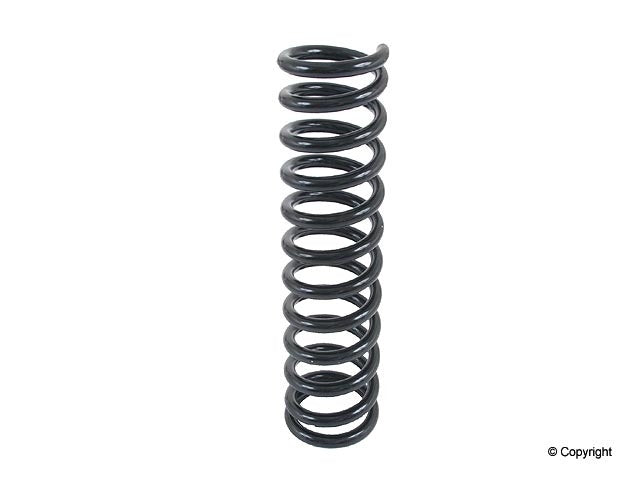 Lesjofors Coil Spring