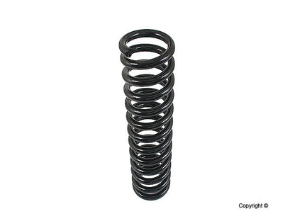 Lesjofors Coil Spring 4056804