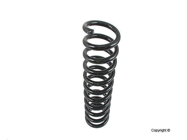 Lesjofors Coil Spring 4056815