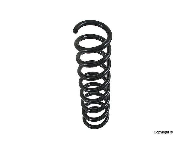 Lesjofors Coil Spring 4056826