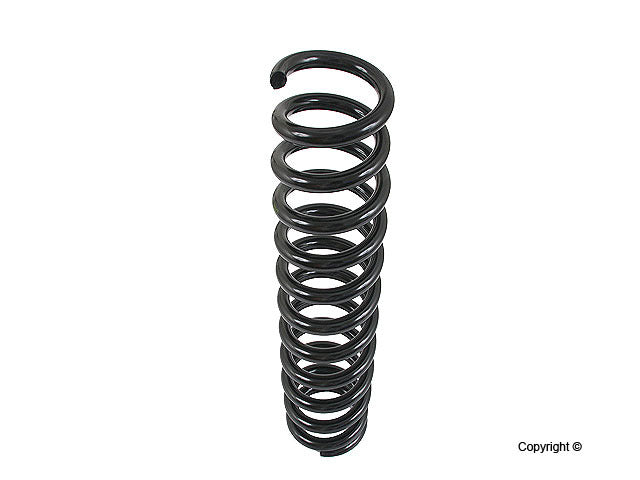 Lesjofors Coil Spring 4056827