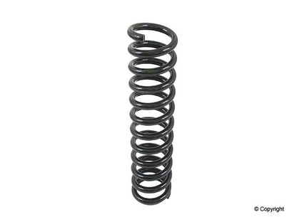 Lesjofors Coil Spring 4056834