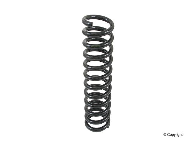 Lesjofors Coil Spring
