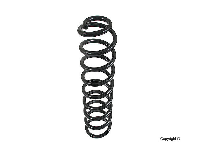 Lesjofors Coil Spring 4056841