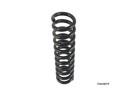 Lesjofors Coil Spring 4056846