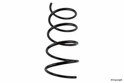 Lesjofors Coil Spring 4056872