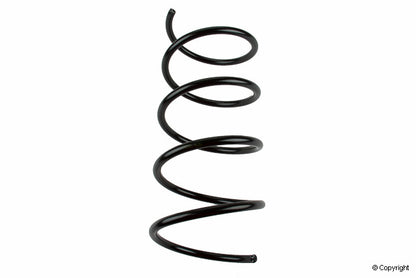 Lesjofors Coil Spring 4056872