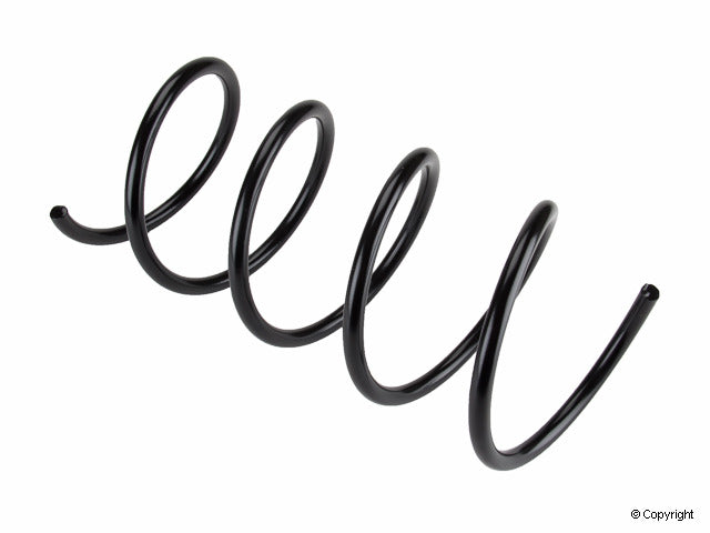 Lesjofors Coil Spring