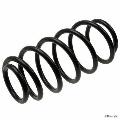 Lesjofors Coil Spring 4077811