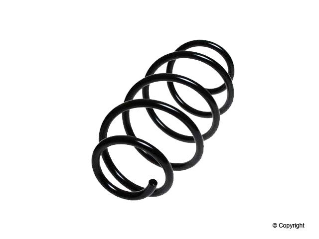 Lesjofors Coil Spring
