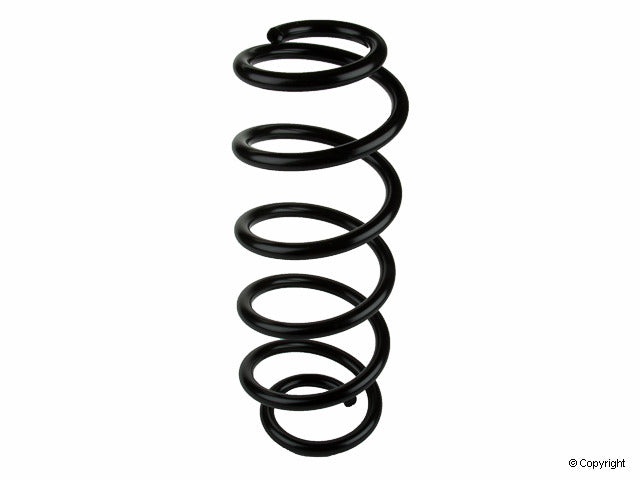 Lesjofors Coil Spring 4095037