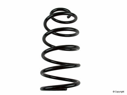 Lesjofors Coil Spring 4095044
