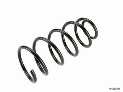 Lesjofors Coil Spring 4095061