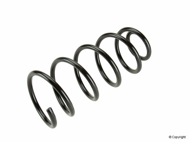 Lesjofors Coil Spring