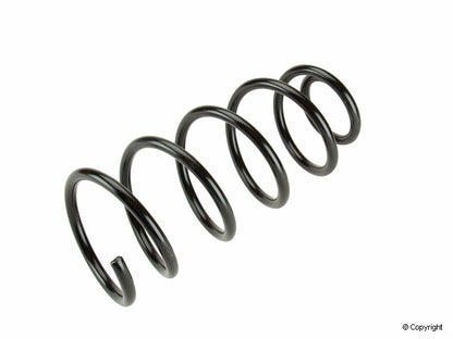 Lesjofors Coil Spring 4095061