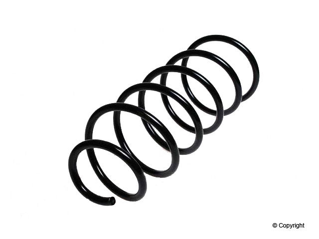 Lesjofors Coil Spring