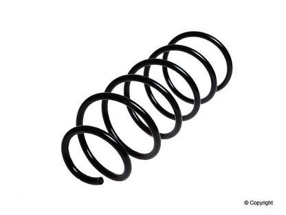 Lesjofors Coil Spring