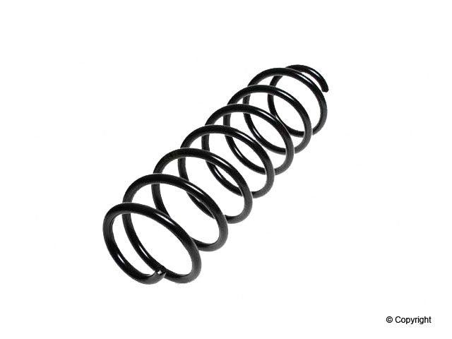Lesjofors Coil Spring 4095836