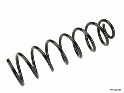 Lesjofors Coil Spring 4204211