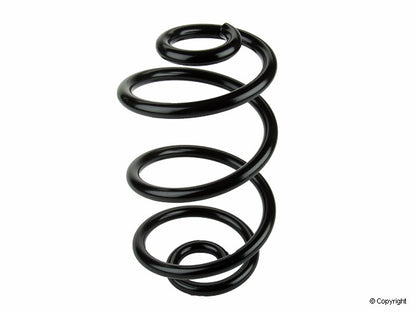 Lesjofors Coil Spring