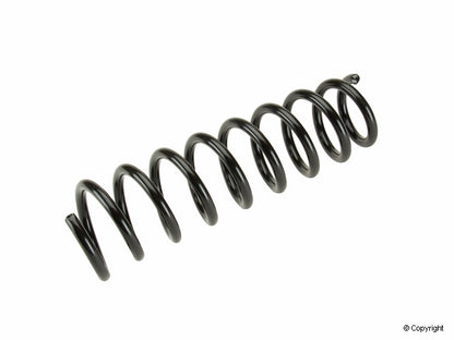 Lesjofors Coil Spring 4204231