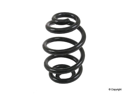 Lesjofors Coil Spring 4208434