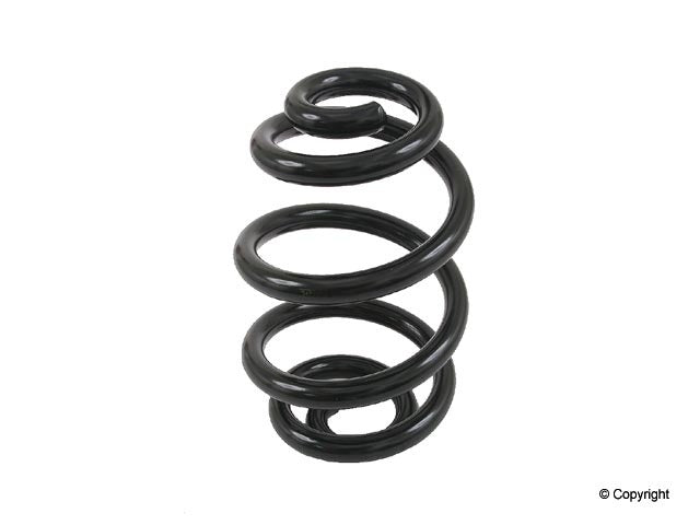 Lesjofors Coil Spring