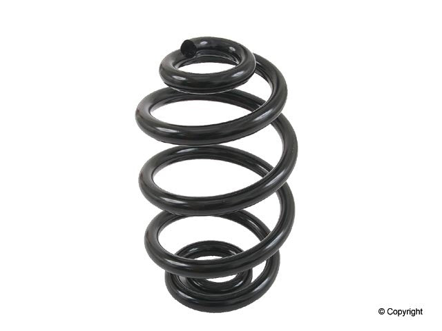 Lesjofors Coil Spring 4208435