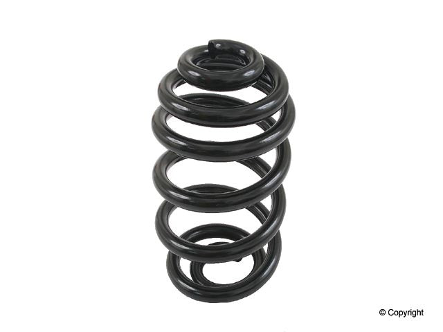 Lesjofors Coil Spring 4208450