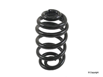 Lesjofors Coil Spring 4208450