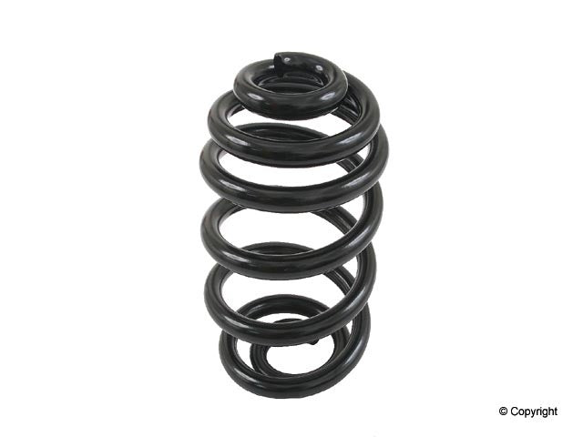 Lesjofors Coil Spring