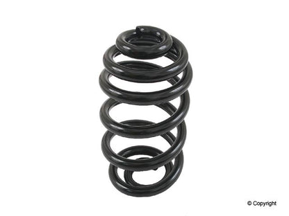 Lesjofors Coil Spring 4208450