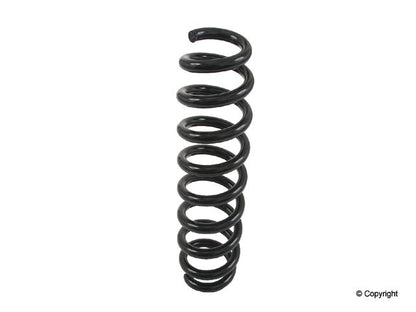Lesjofors Coil Spring 4208455