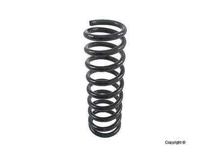 Lesjofors Coil Spring 4256801