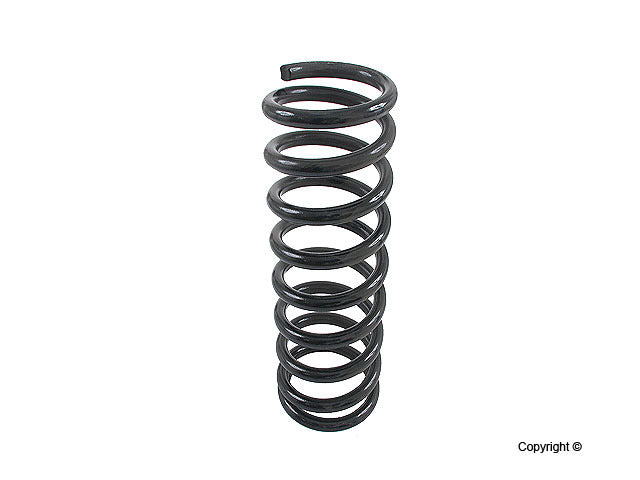 Lesjofors Coil Spring