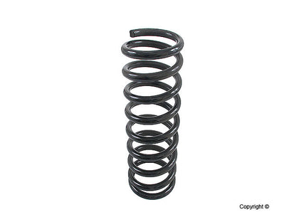 Lesjofors Coil Spring 4256801