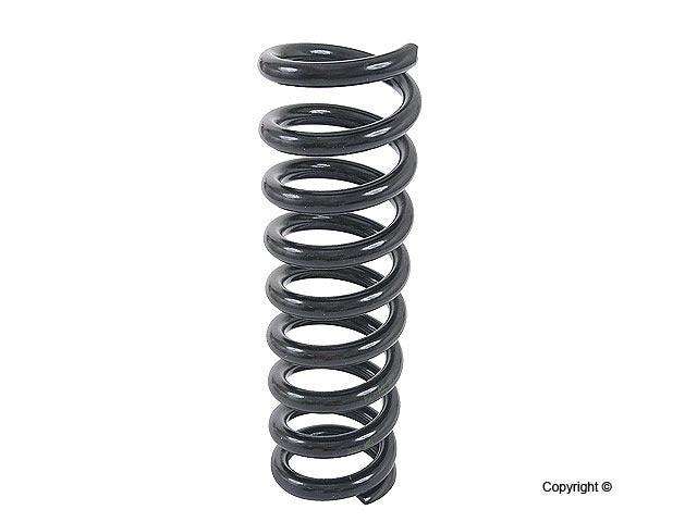 Lesjofors Coil Spring 4256809